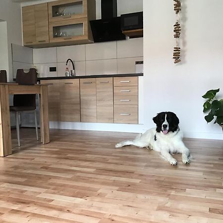Apartmany A&Z Hořice na Šumavě Екстериор снимка